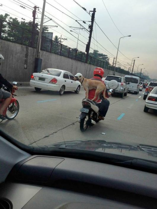 Many Cool Funny Pictures