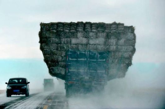 Many Cool Funny Pictures