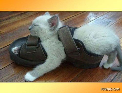 Its The Weekend, So Relax Baby!