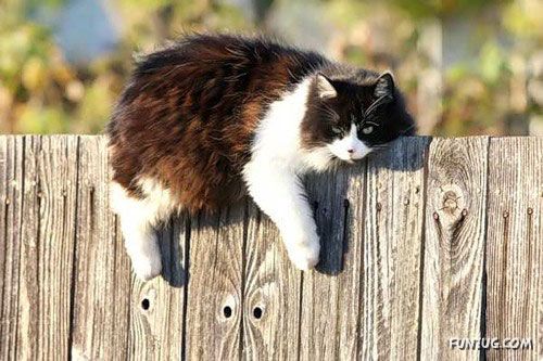 Its The Weekend, So Relax Baby!