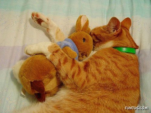 Its The Weekend, So Relax Baby!