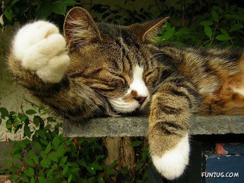 Its The Weekend, So Relax Baby!