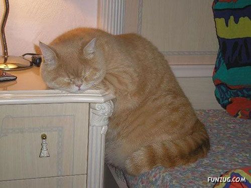 Its The Weekend, So Relax Baby!