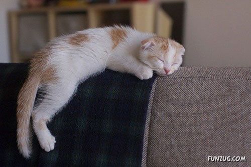 Its The Weekend, So Relax Baby!