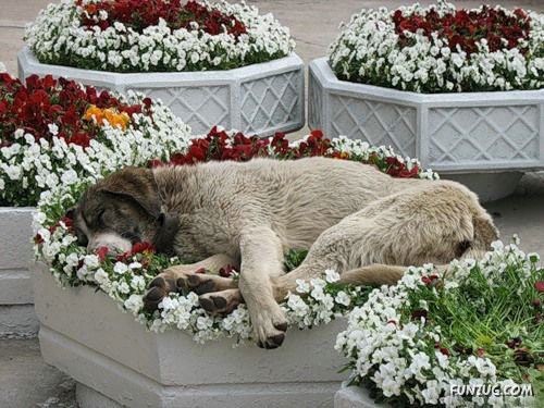 Its The Weekend, So Relax Baby!