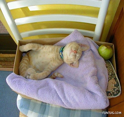 Its The Weekend, So Relax Baby!