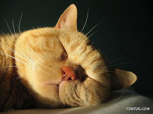 Its The Weekend, So Relax Baby!