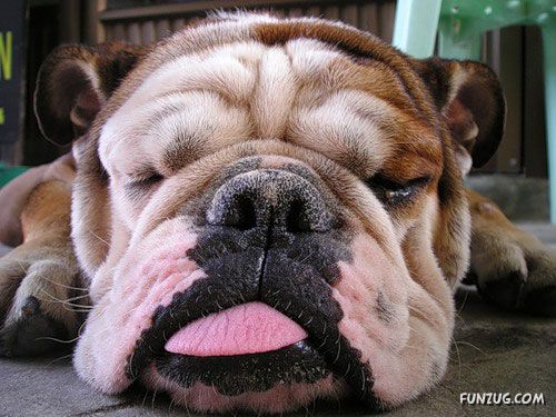 Its The Weekend, So Relax Baby!