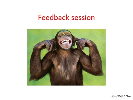 Most Amazing Monkey Story