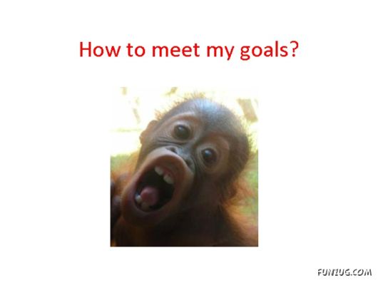 Most Amazing Monkey Story