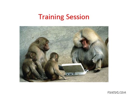 Most Amazing Monkey Story