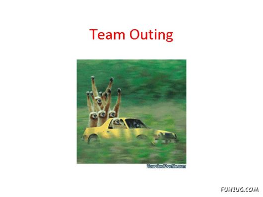 Most Amazing Monkey Story