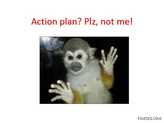 Most Amazing Monkey Story