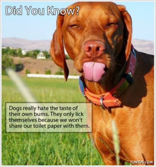 The Internet Would Not Lie