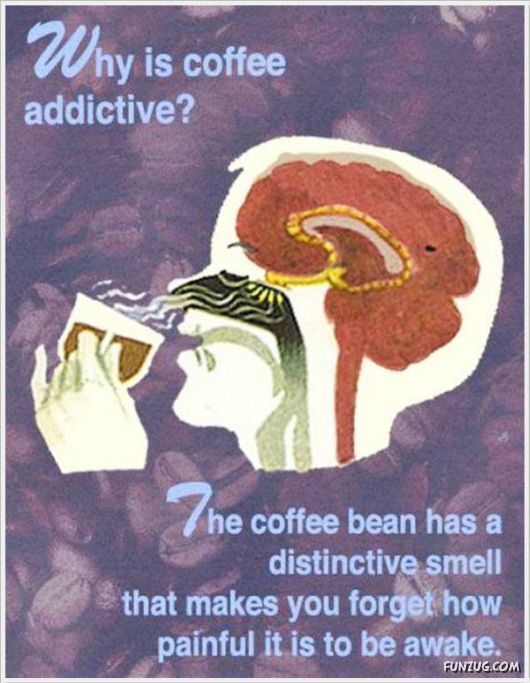 The Internet Would Not Lie