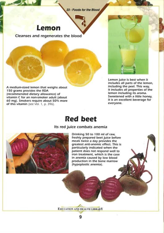 Foods And Their Healing Power