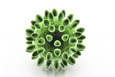 The Stomach Germs You Need To Avoid
