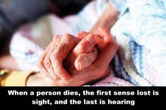 Hard to Believe Crazy Facts