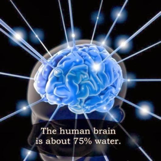 25 Interesting But Useless Fun Facts