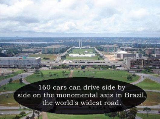 25 Interesting But Useless Fun Facts