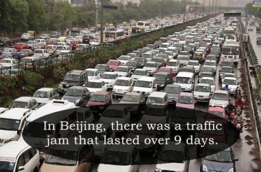 25 Interesting But Useless Fun Facts