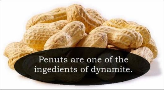 25 Interesting But Useless Fun Facts