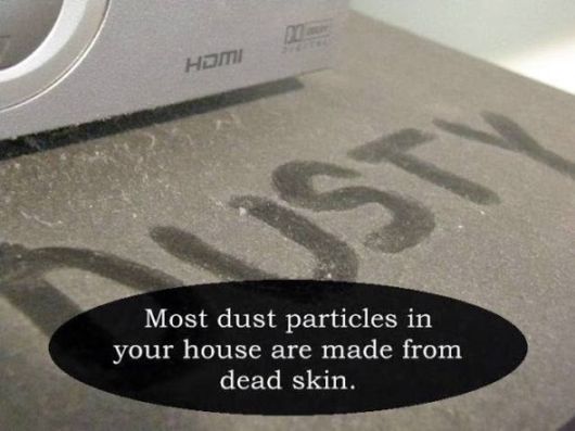 25 Interesting But Useless Fun Facts