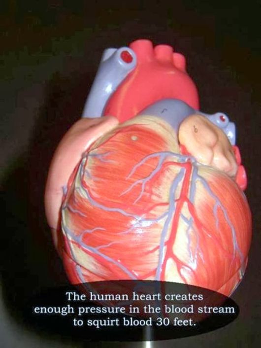 25 Interesting But Useless Fun Facts