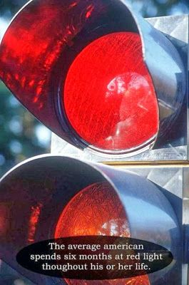 25 Interesting But Useless Fun Facts