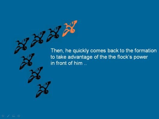 Lets Be Like The Geese