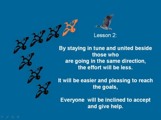 Lets Be Like The Geese