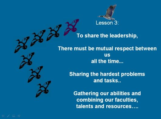 Lets Be Like The Geese