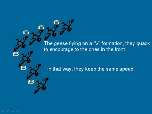 Lets Be Like The Geese