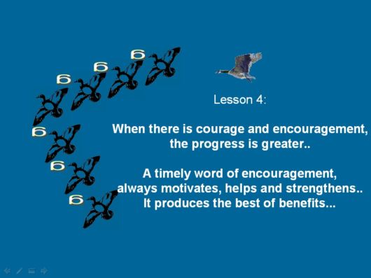 Lets Be Like The Geese