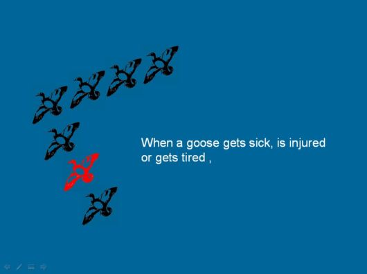 Lets Be Like The Geese