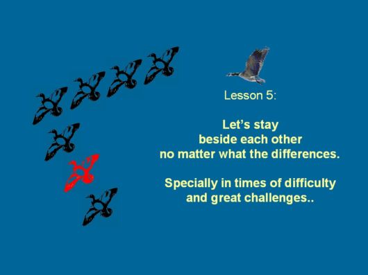 Lets Be Like The Geese