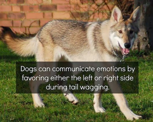 A Selection Of Some Interesting Facts