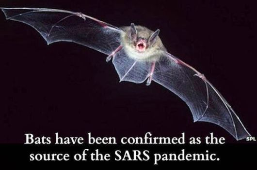 A Selection Of Some Interesting Facts