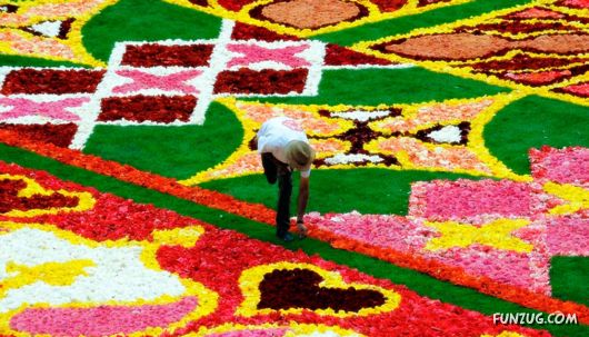 Great Photos of The Week