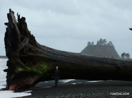 Great Photos of The Week