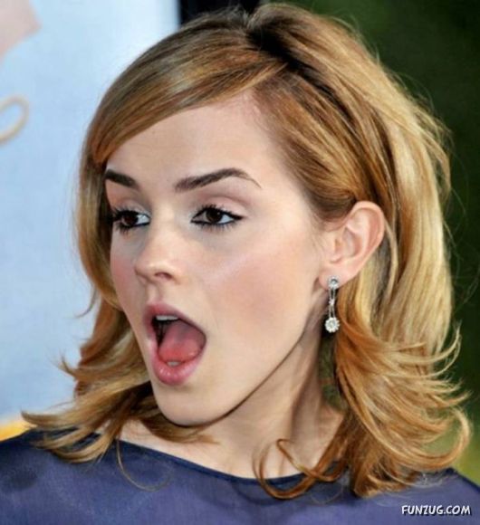 Pictures Of the Week