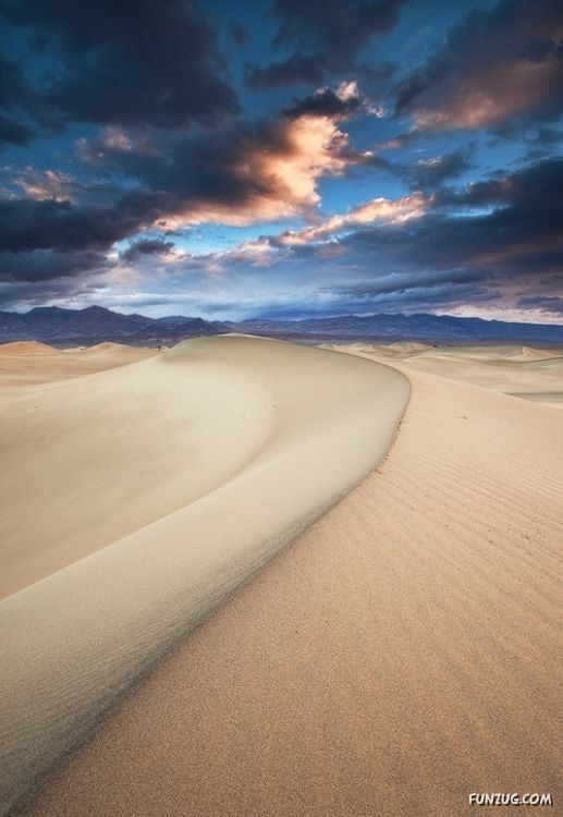 True Beauty Is All Around Us