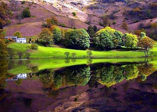Awesome Reflection Lake Photos