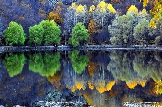 Awesome Reflection Lake Photos