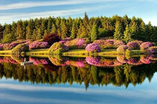 Awesome Reflection Lake Photos