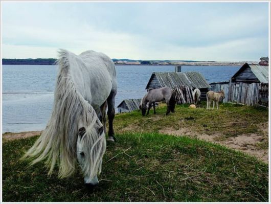 Best Pictures By NatGeo For 2012