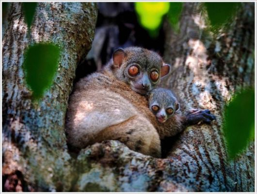 Best Pictures By NatGeo For 2012