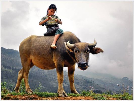 Best Pictures By NatGeo For 2012