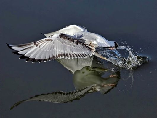 Beautiful Colors Of The Nature