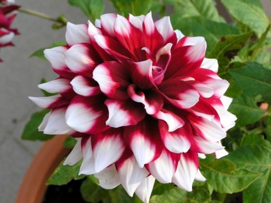 Beautiful Colors Of The Nature